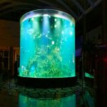 Kina anpassade billiga super stora runda pmma glas akvarier tydliga cylinder akryl fisk tankar