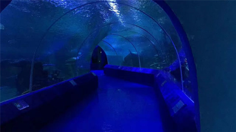 180 eller 90 graders akrylpaneler för akvarietunnel