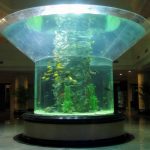 pmma glas akvarium halvcylinder perspex klar fisk tank