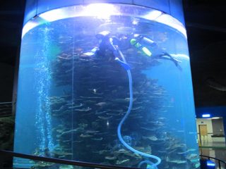 klar akrylcylinder stor fiskktank för akvarier eller havspark