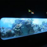 Konstgjord Cast Acrylic Cylindrical Transparent fisk akvarium / visa fönster