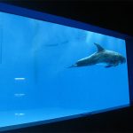 högkvalitativt stort akryl akvarium / pool fönster undervattens tjocka fönsterark