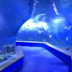 Klart pmma akryl Stor plastik tunnel av akvarium