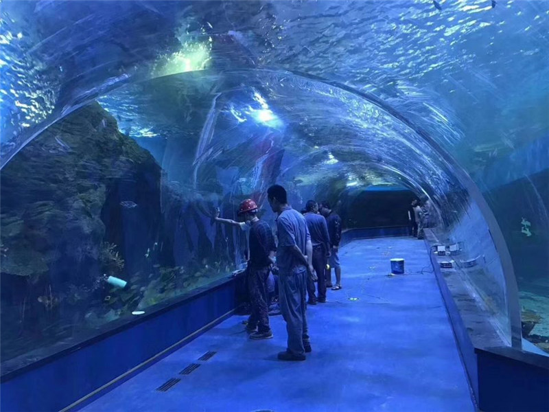 Anpassat plexiglas akryl tunnel akvarium