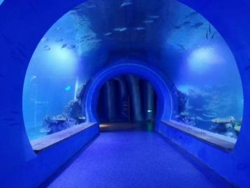 Högklart stort akryl tunnel akvarium av olika former
