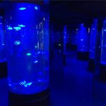 akryl maneter akvarium tank glas