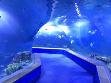 transparent akrylglas Tunnel akvarium